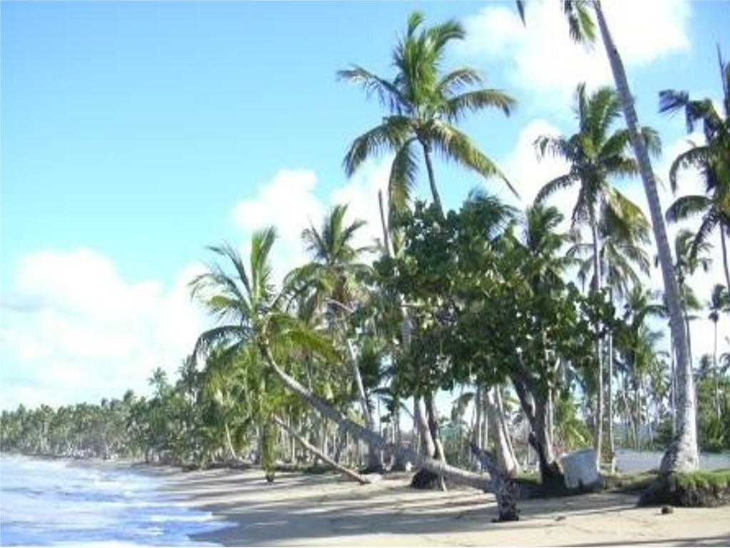 Apartamento Caoba Las Terrenas Exterior foto